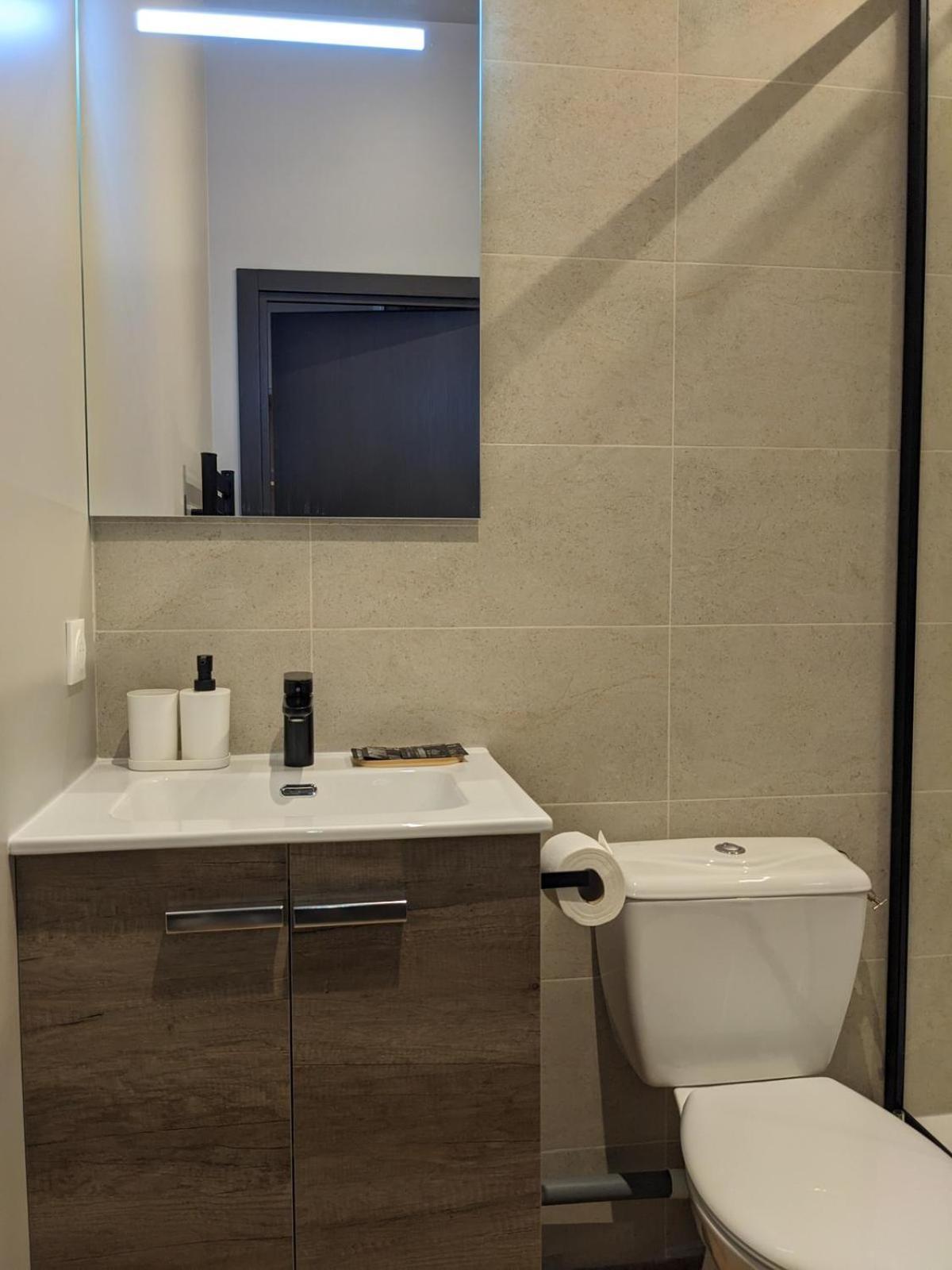 Le 12 Wifi Cosy Parking 3 Daire Saint-Etienne  Dış mekan fotoğraf